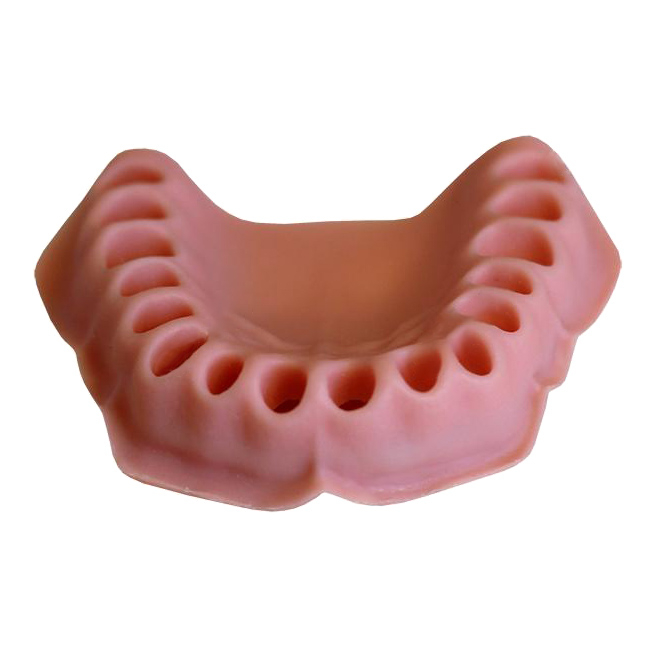 ДВ-32 - эластичная слизистая верхней челюсти для денто-моделей ЧВН-32А и ЧВН-32П | Зарница (Россия)