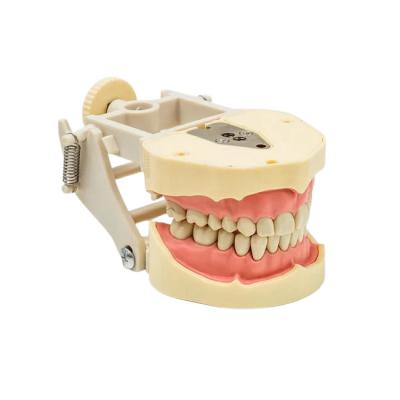 JG-Y3 - фантомная челюсть | Foshan Jingle Medical Equipment (Китай)