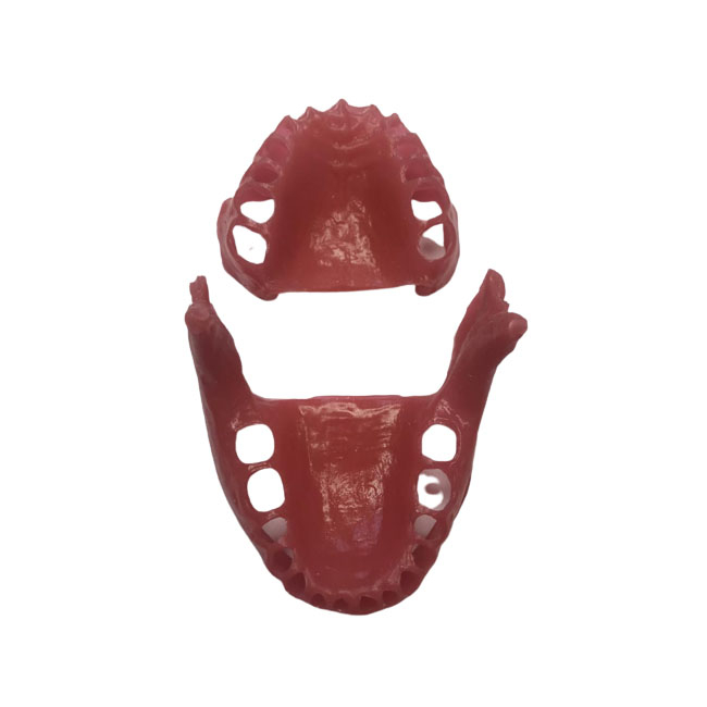 E15G – сменные десны для фантомной челюсти, эластичные, розовые | GF Dental (Италия)