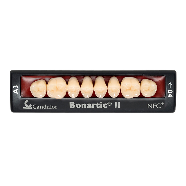 Bonartic II NFC+ - композитные боковые зубы | Candulor AG (Швейцария)