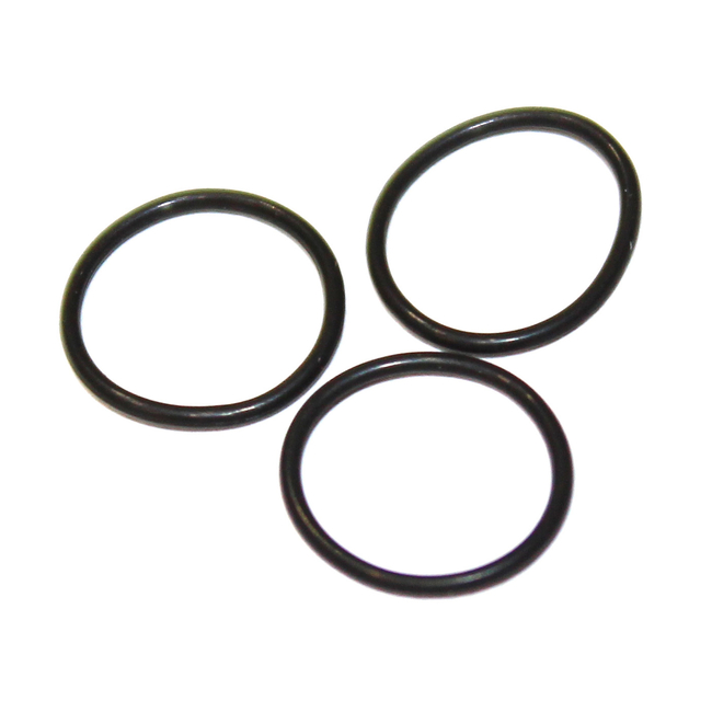 Кольцо уплотнительное для аппаратов Assistina, 3 шт. | W&H DentalWerk (Австрия)