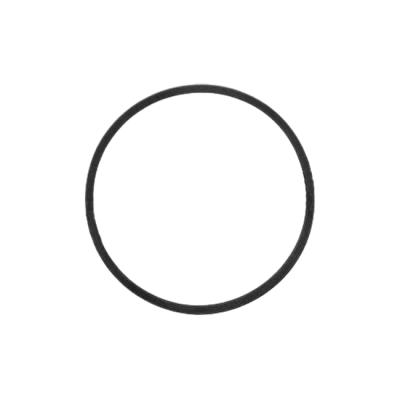 Уплотнительное кольцо двери автоклава Euronda | Euronda (Италия)