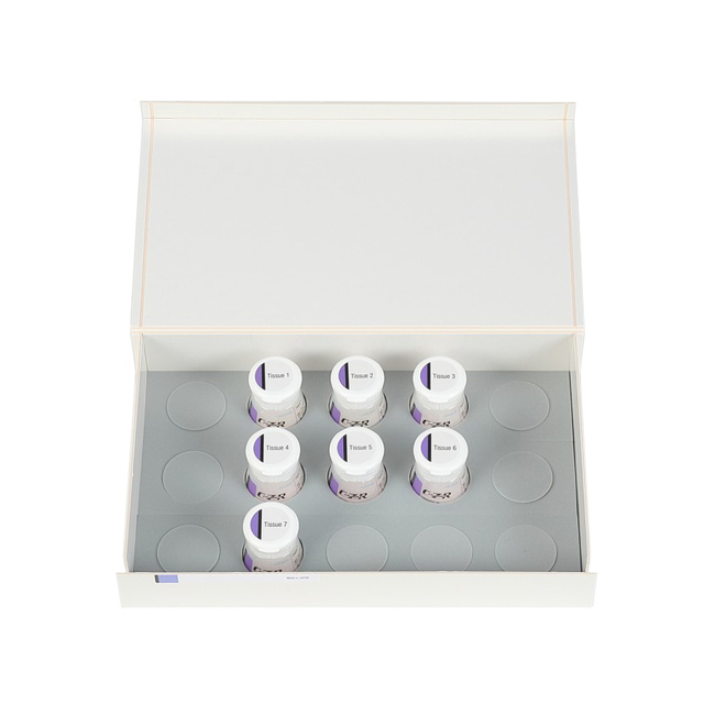 CZR Tissue Kit - набор десневой массы | Kuraray Noritake (Япония)