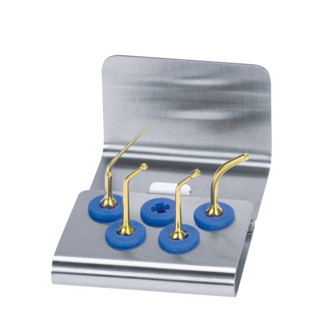 Набор для реставрации Сухая работа (насадки D1, D2, D3, D4) | Mectron (Италия)