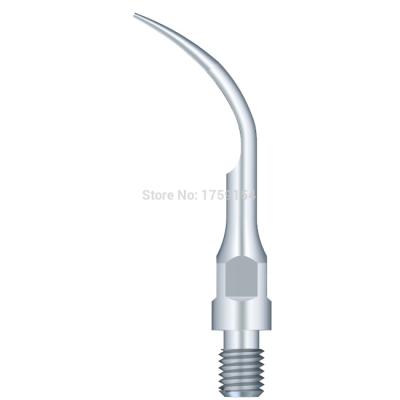 Насадка GS1 для скалеров Woodpecker, для снятия зубных отложений (подходит к Sirona) | Woodpecker (Китай)