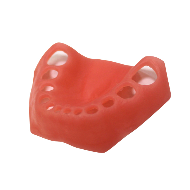 ДН-24 - эластичная слизистая нижней челюсти для денто-модели ЧВН-24 | Зарница (Россия)