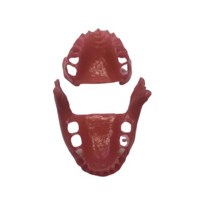 E15G – сменные десны для фантомной челюсти, эластичные, розовые | GF Dental (Италия)