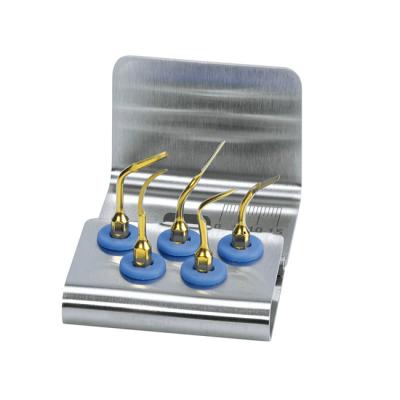 Набор для удаления зубов (насадки EX1, EX2, EX3, PS2, PS6) | Mectron (Италия)