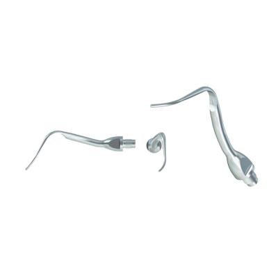 PE-40R - насадка для скалеров LM, для скалинга | LM-Instruments Oy (Финляндия)