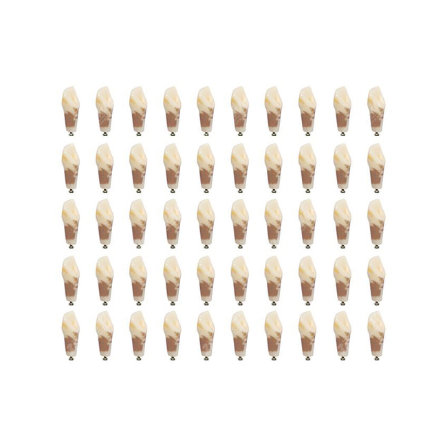 З-32-1.50П - комплект из 50 модельных зубов для денто-модели ЧВН-32П | Зарница (Россия)