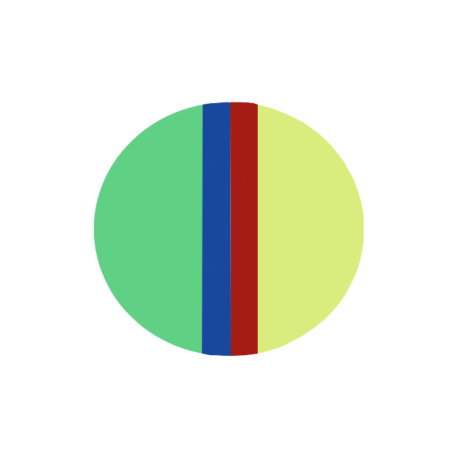 Erkoflex multicoloured - термоформовочные пластины, четырехцветные, круглые, диаметр 120 мм, 1 шт. | Erkodent (Германия)