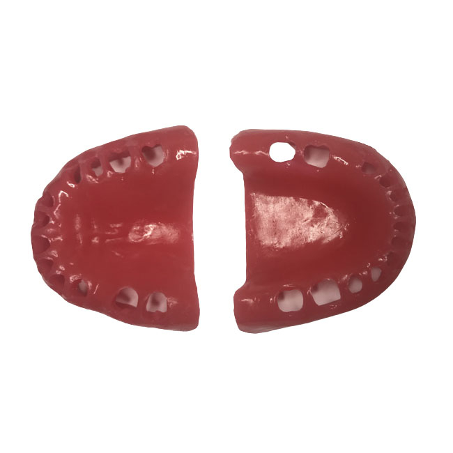 E56G  – сменные десны для фантомной челюсти, эластичные, розовые | GF Dental (Италия)