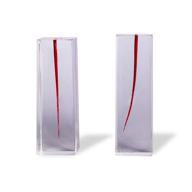 ЭБ-1.01 - комплект эндоблоков для обучения препарированию корневого канала | Зарница (Россия)