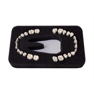 З-28П - комплект из 32 модельных зубов для денто-модели ЧВН-28П | Зарница (Россия)