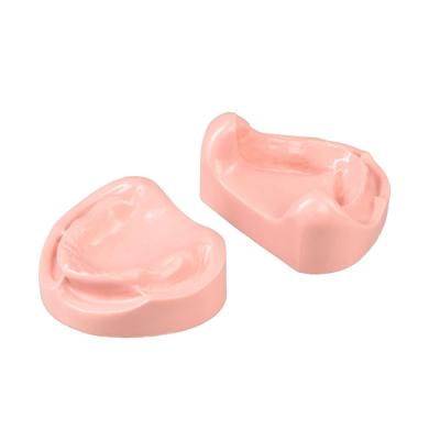 E24N – модель верхней и нижней челюсти c полной адентией для практики протезирования | GF Dental (Италия)