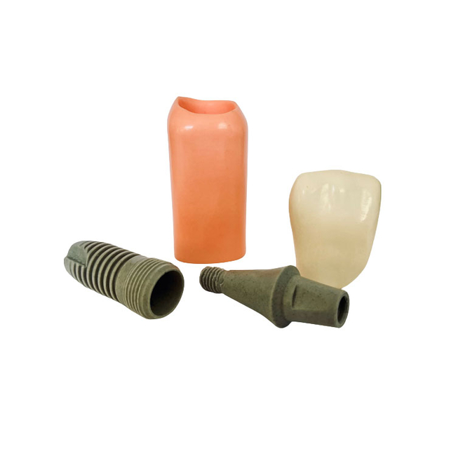 T07L – увеличенная модель импланта, высота 20 см | GF Dental (Италия)