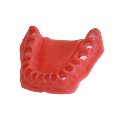 ДН-32 - эластичная слизистая нижней челюсти для денто-моделей ЧВН-32А и ЧВН-32П | Зарница (Россия)